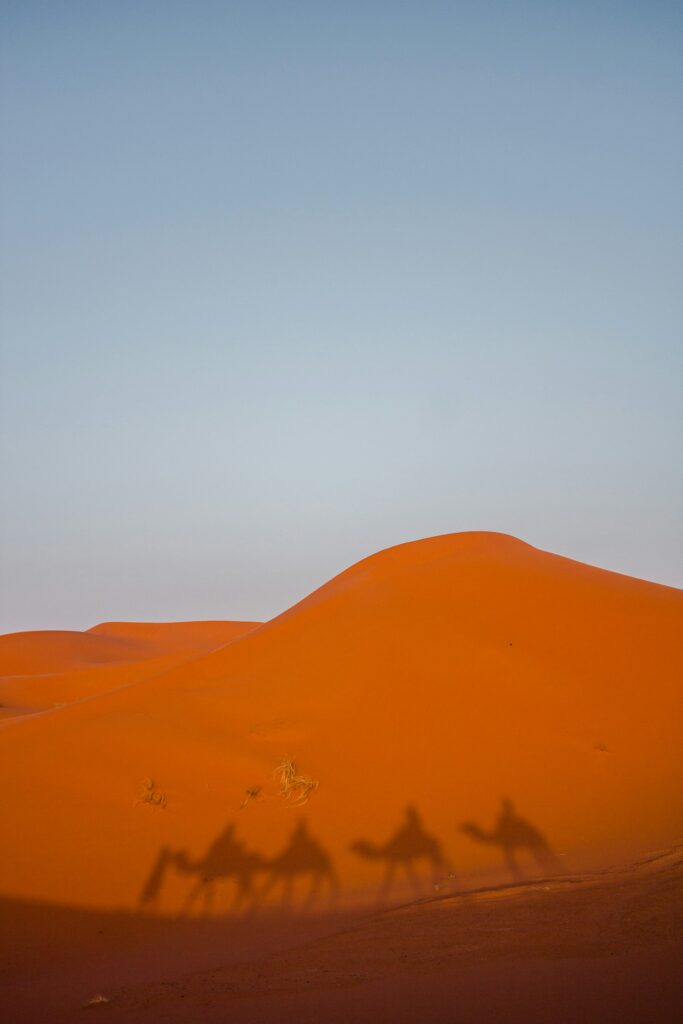 Camel caravan shadows across desert dunes