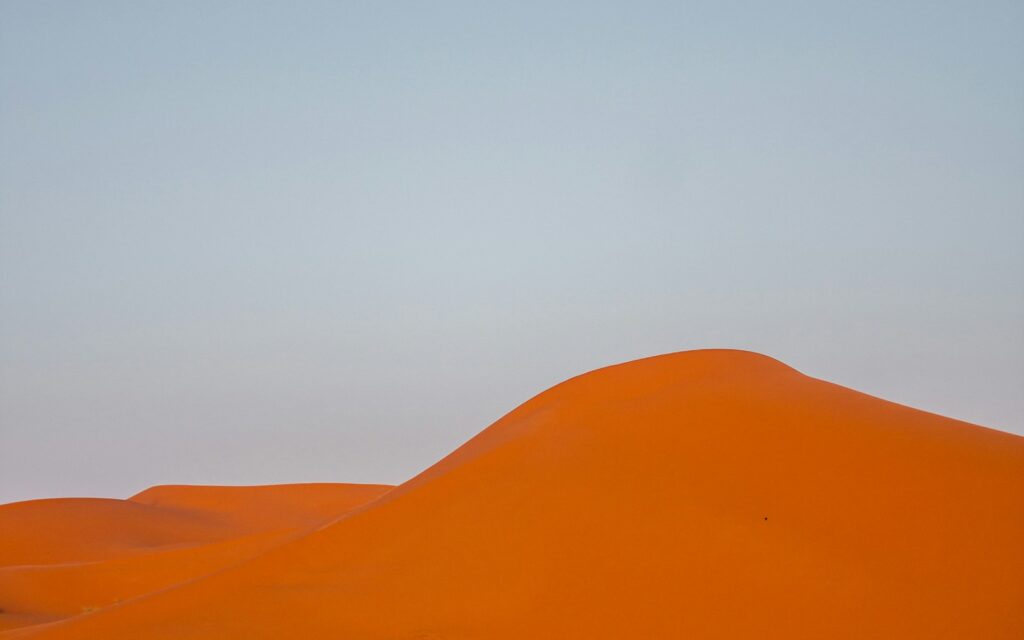 Camel caravan shadows across desert dunes